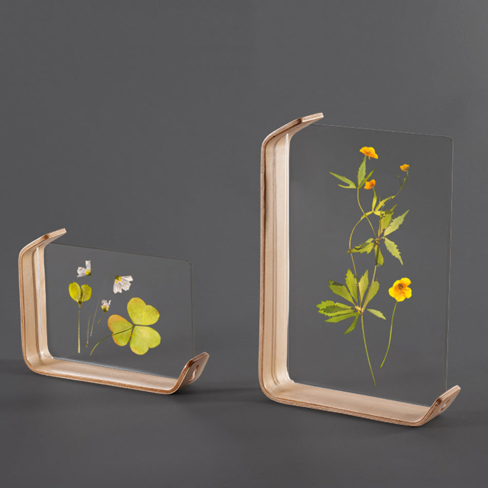 Wood & Acrylic Display Frame — product image 1